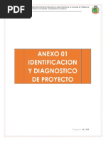 Identificacion y Diagnostico de Proyecto