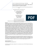 Evaluación de Dos Niveles de Inclusión de Harina de Morera (Morus Alba) Sobre Los Parámetros Productivos de Pollo de Engorde