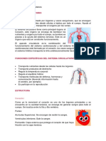 Estructuras Circulatorias