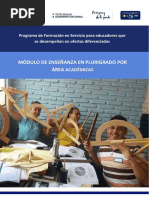 Enseñanza en Plurigrado Por Áreas Académicas