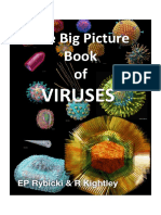 The Big Picture Book of Viruses. EP Rybicki & R Kightley