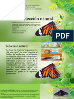 Seleccion Natural 1