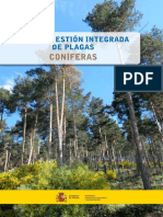 Coniferas Web Metadatos Protegida Tcm30-582459