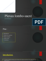 Plexus Lombo-Sacré