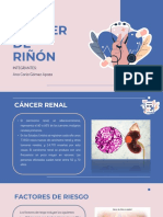 Cáncer de Riñón - Ana Carla Gomez Apaza