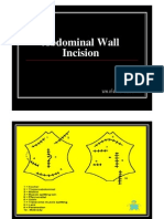 Abdominal Wall Incision