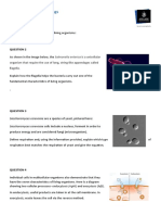 1bio Assignment 1 Living Things Digital