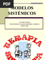 Clase 7 Modelo Sistemico