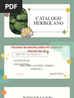 Catálogo Herbolano Historia 3D M