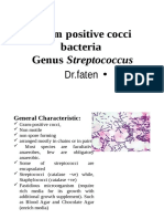 Gram +ve Cocci Bactria