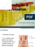 Aula 1 - Urinálise