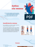 Enfoque Fisioterapéutico en Insuficiencia Venosa