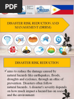 DRRM - Final Report