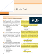 Robbins Female Genital Tract