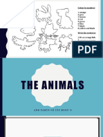 The Animals