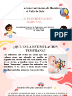 TALLER DE ESTIMULACIÓN TEMPRANA Intro