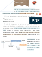 Biotransformación