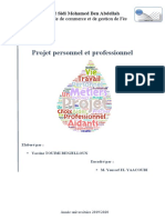 Projet Personnel Et Professionnel Yassine