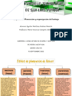 Estilos de Planeación de Ackoff