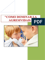 Taller Como Domino La Agresividad