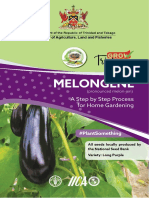 How2Grow Melongene at Home