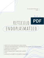 Reticulo Endoplasmatico