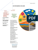 Factores Formadores de Suelo