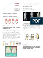 Dentes - Nomenclaturas