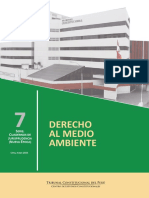 Derecho Al Medio Ambiente