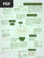 Mapa Conceitual - Evolução