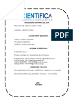 Leyes de Los Gases Ideales - Informe 7 Final