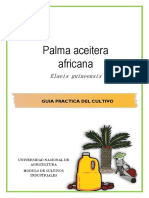 Guia de Palma Aceitera