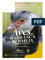 Aves de Barrancabermeja 