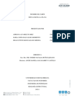 Informe de Campo Estructural