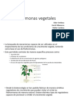 Hormonas Vegetales