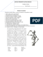 Caça Palavras Sistema Locomotor