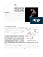 Ácido Ribonucleico