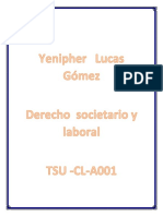 Derecho Societario General Tarea 1