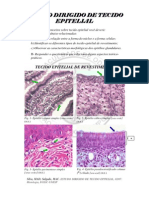 Tecido Epitelial 2007