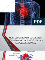 Corazón Fisiologia