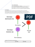 RESUMEN Leyes de Mendel