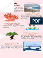 Mariadefatima Infografia Region Chala