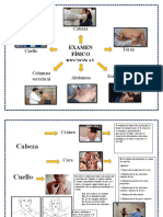 Mapa Mental Examen Fisico