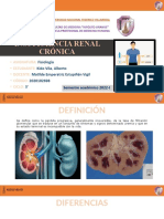 Insuficencia Renal Crónica