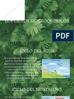 Los Ciclos Biogeoquimicos