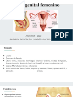 Sistema Genital Femenino 2022