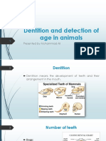 Dentition and Detection of Age in Animals