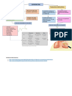 ESPIROMETRIA