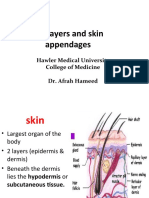 LG2 Histology of The Skin