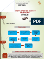 Acepciones y Naturaleza Juridica de La Prueba